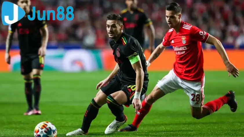 16456531539561 233506